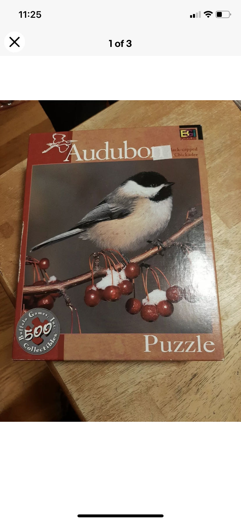 Crazy Cats - Lazy Summer Afternoon