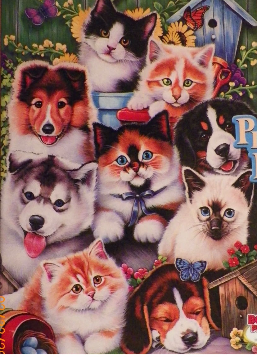 Image 47356