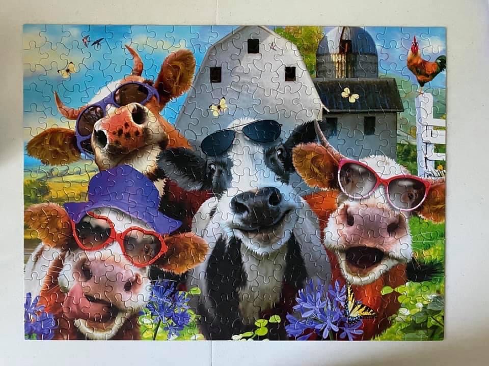 Selfies - Udderly Cool Cows - Ceaco puzzle collectible [Barcode 021081231688] - Main Image 2