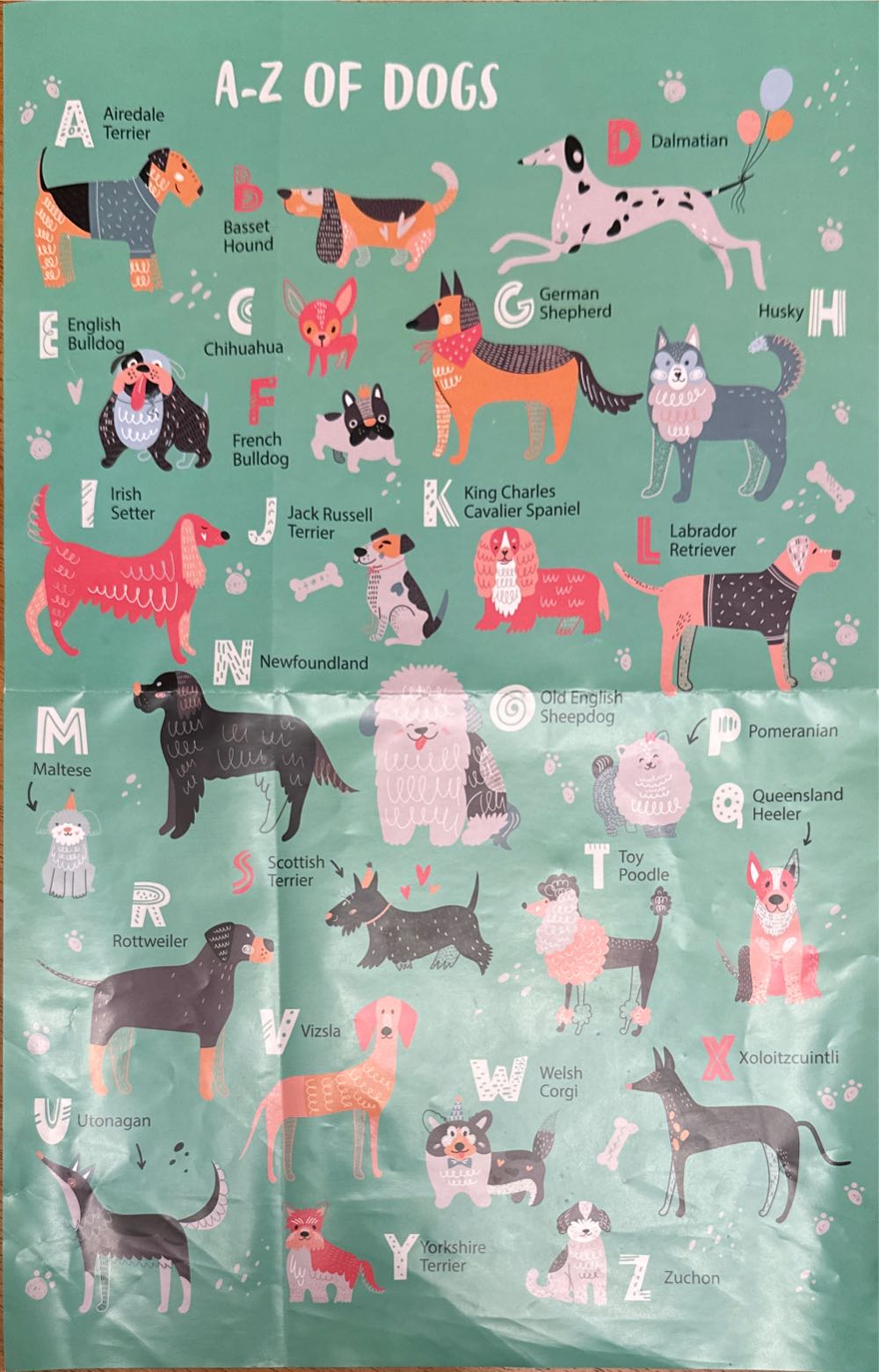 A-Z Of Dogs - Professor Puzzle puzzle collectible - Main Image 3