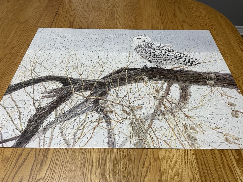 Fallen Willow Snowy Owl - Cobble Hill puzzle collectible [Barcode 625012850315] - Main Image 4