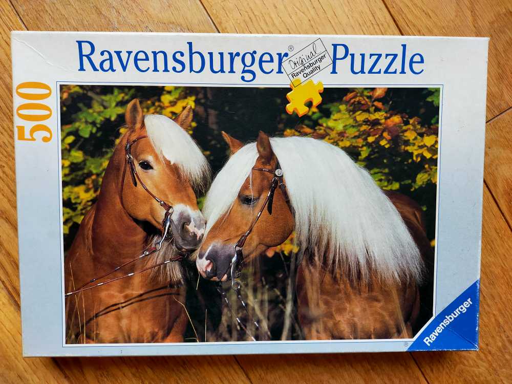 Jumbo: Wasgij - Team Alzheimers