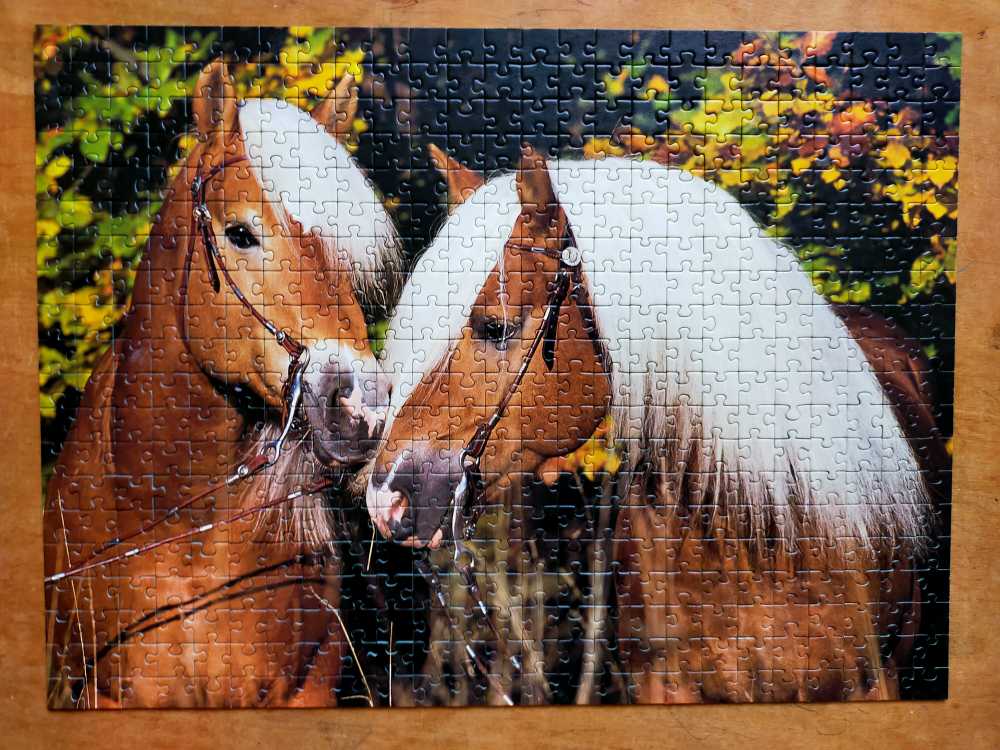 Haflinger - Vriendjes - Ravensburger puzzle collectible [Barcode 4005556143375] - Main Image 2