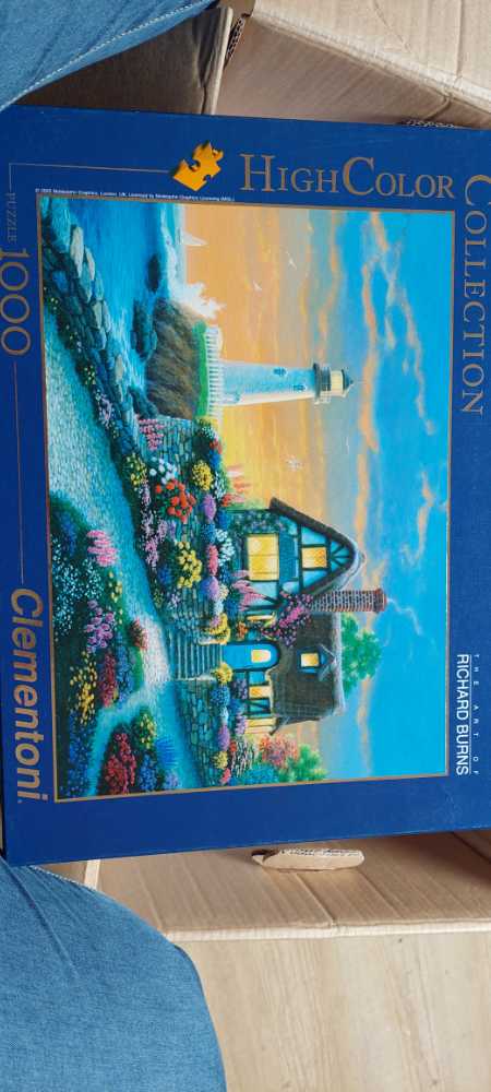 Eight Arms For You Dream World