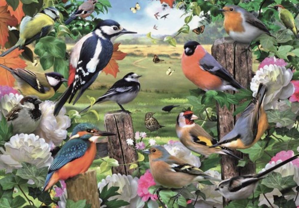 Birds For All Seasons🐦 - Falcon de luxe puzzle collectible [Barcode 8710126110256] - Main Image 2