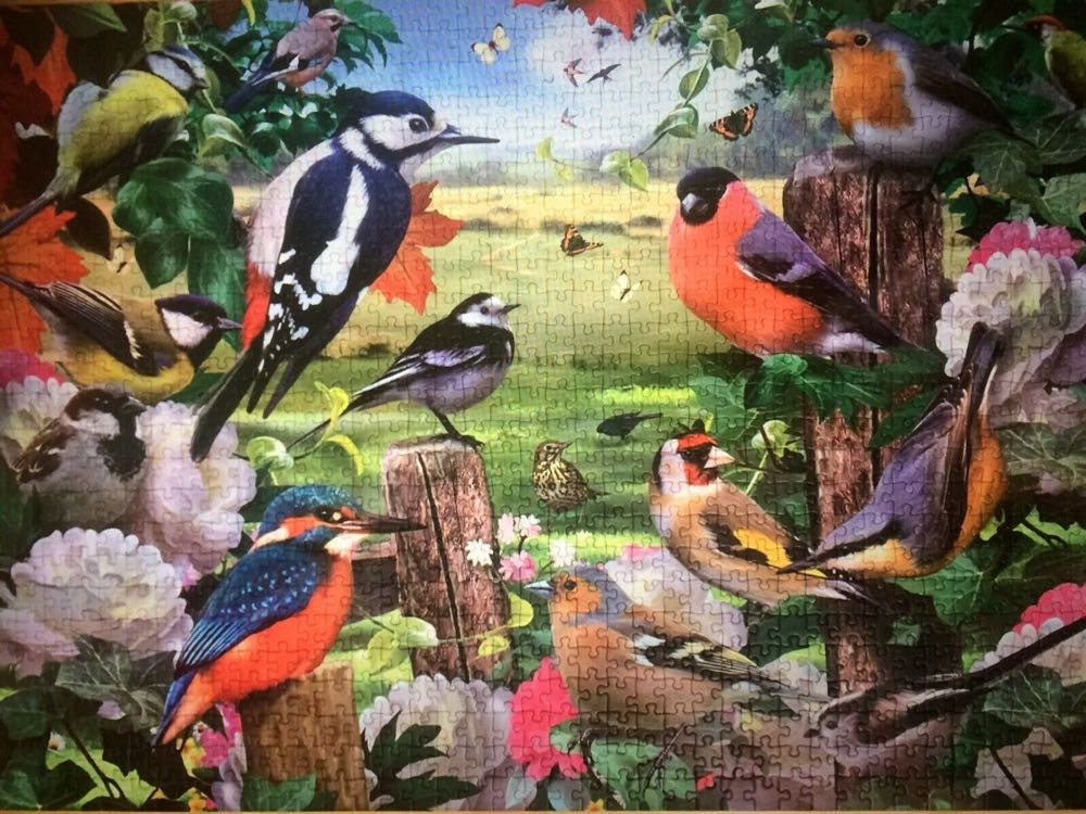 Birds For All Seasons🐦 - Falcon de luxe puzzle collectible [Barcode 8710126110256] - Main Image 3