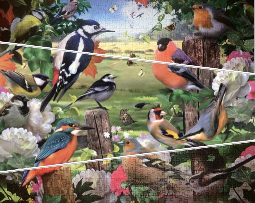 Birds For All Seasons🐦 - Falcon de luxe puzzle collectible [Barcode 8710126110256] - Main Image 4