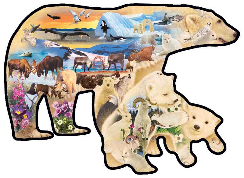 Polar Explorers  - SunsOut puzzle collectible [Barcode 796780951969] - Main Image 2