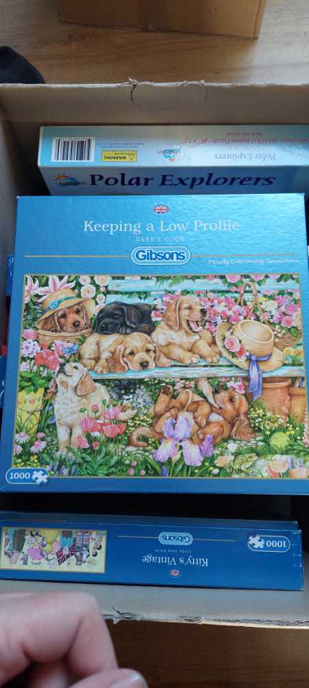 Selfies Wild Animals