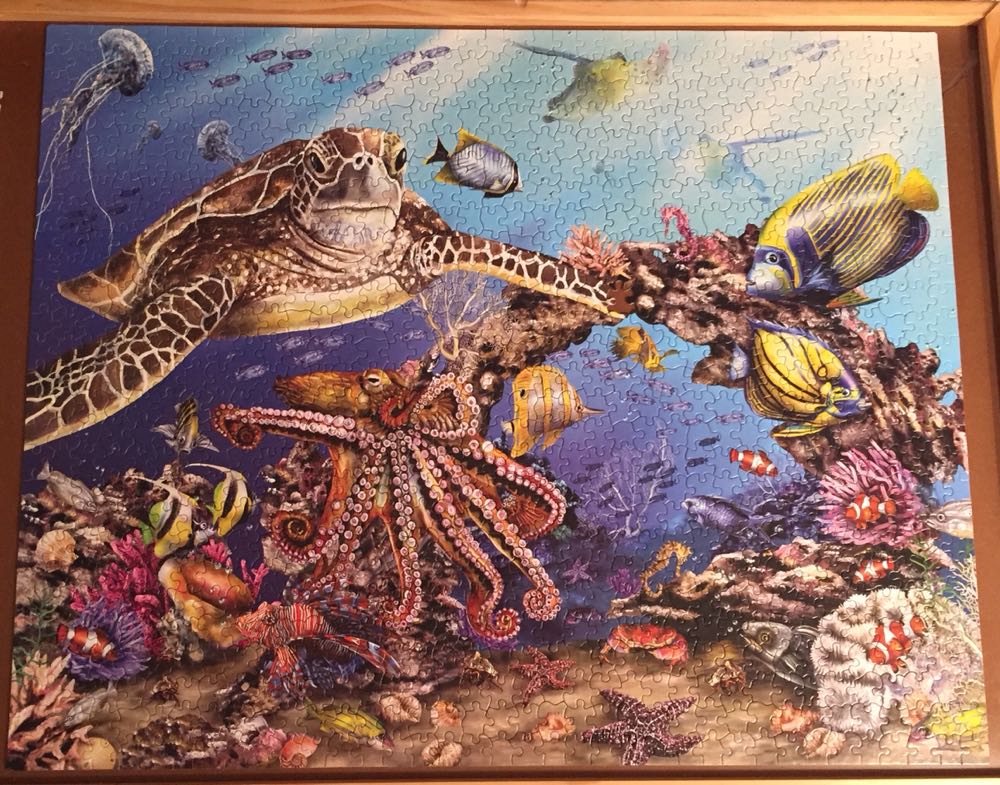 Jewels of the Sea- Kim - White Mountain Puzzles puzzle collectible [Barcode 724819251490] - Main Image 2