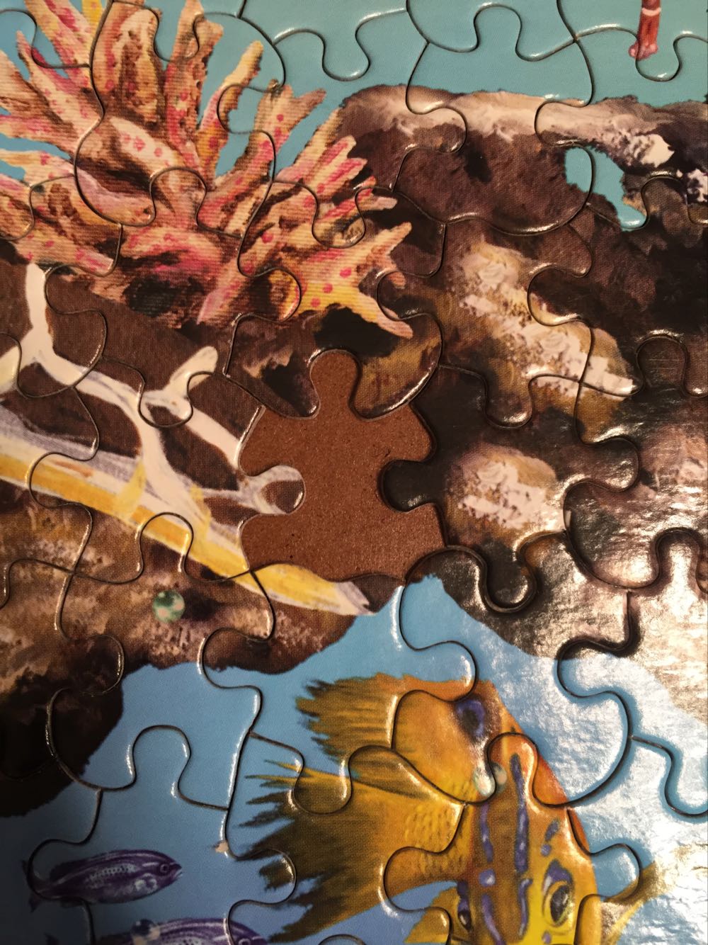 Jewels of the Sea- Kim - White Mountain Puzzles puzzle collectible [Barcode 724819251490] - Main Image 4