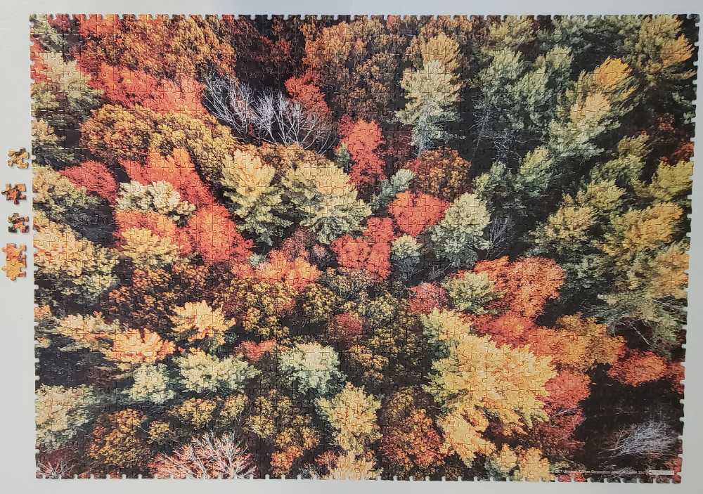 Impossibles: Falling For Fall - Bepuzzled puzzle collectible [Barcode 023332334131] - Main Image 2