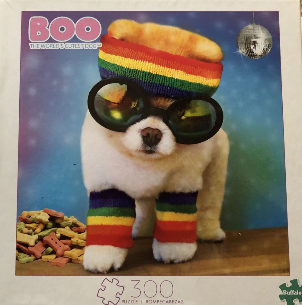 Kittens On The Swing