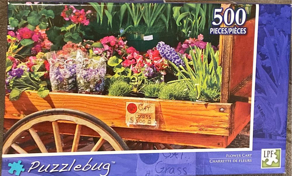 Cactus Country - Mini