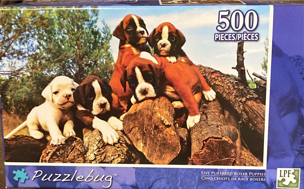 Polly’s First Bsll