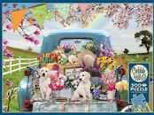 Paris After The Rain