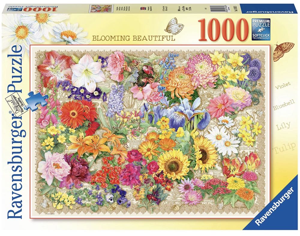 Piazza Di Spagna Roma