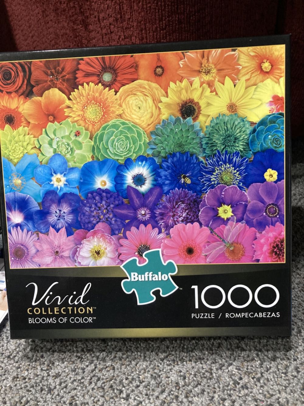 Springbok: Together For Christmas