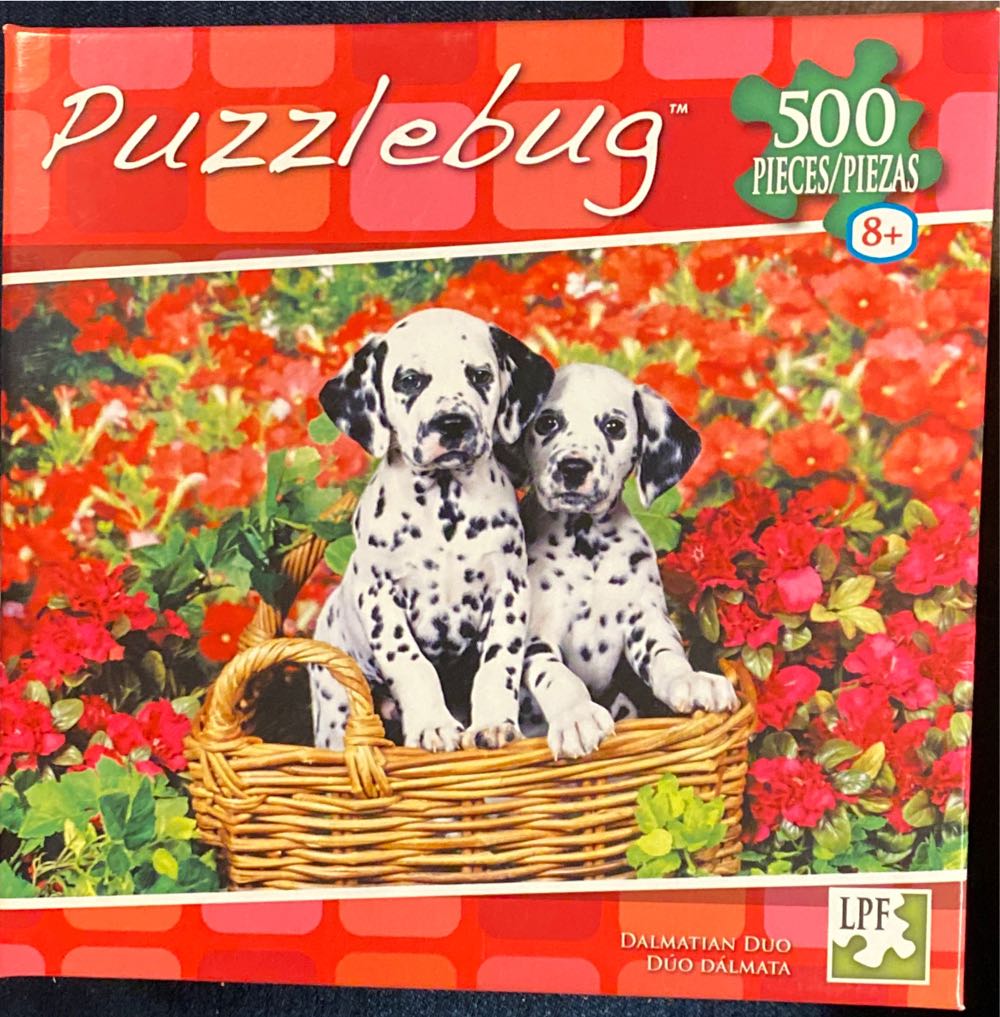 Puzzle Head