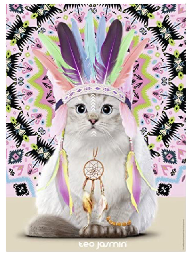 Jasmine Apache - Nathan puzzle collectible - Main Image 2