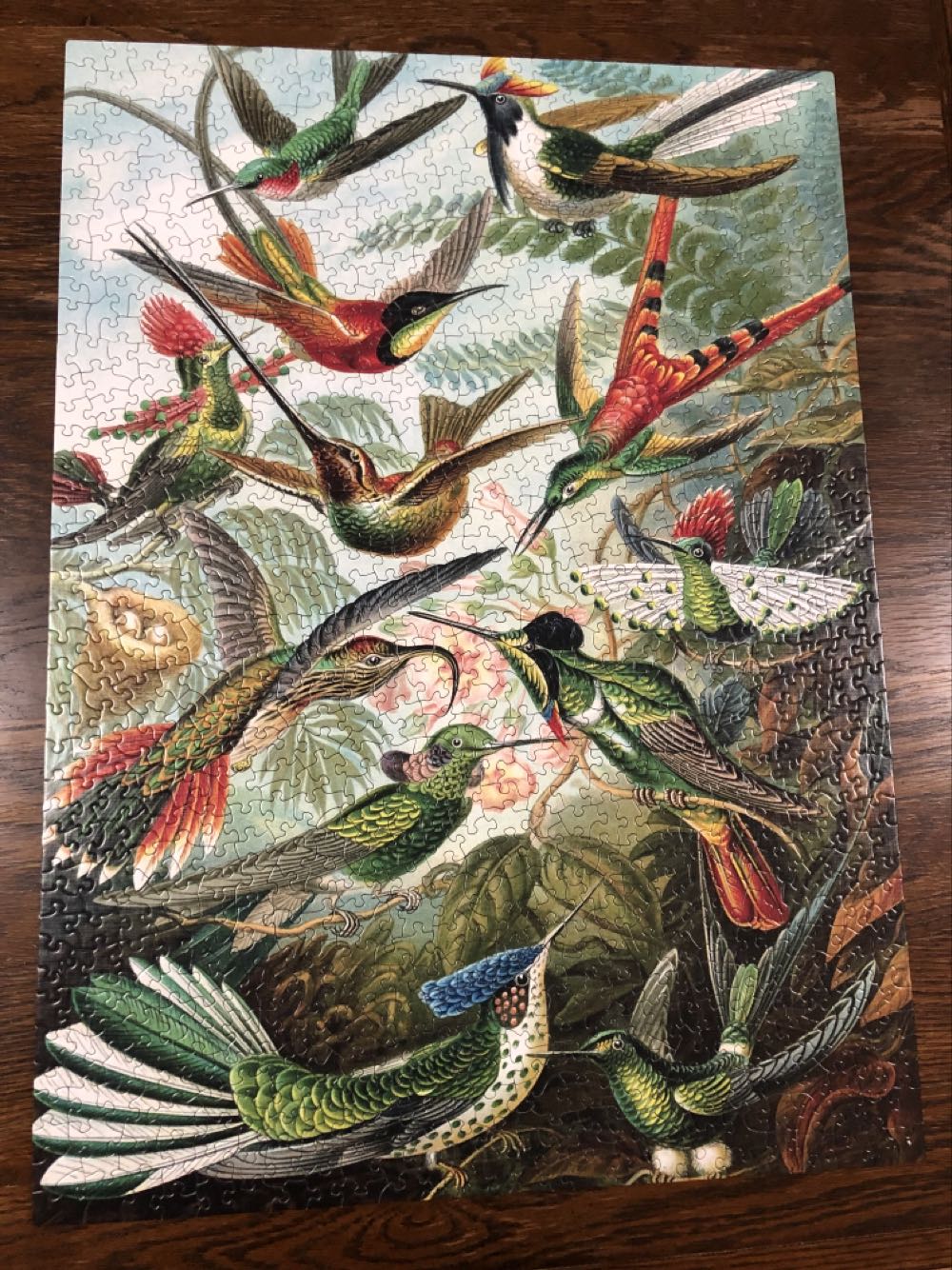 Hummingbirds - New York Puzzle Company puzzle collectible [Barcode 819844010683] - Main Image 2