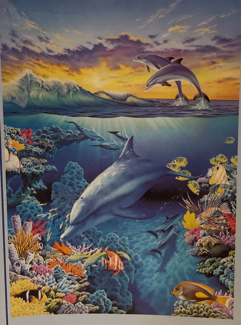 Dolphin Quartet  puzzle collectible - Main Image 1
