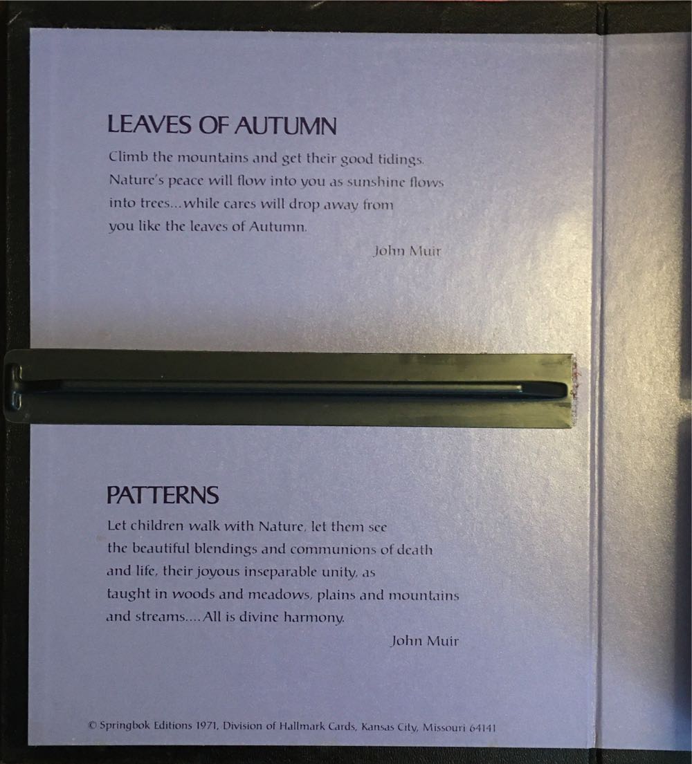 Leaves of Autumn & Patterns - Springbok puzzle collectible - Main Image 3