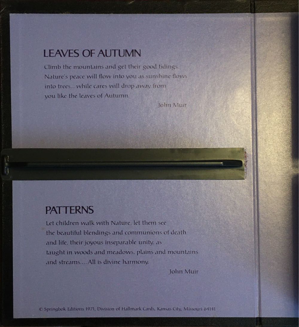 Patterns - Springbok puzzle collectible - Main Image 3