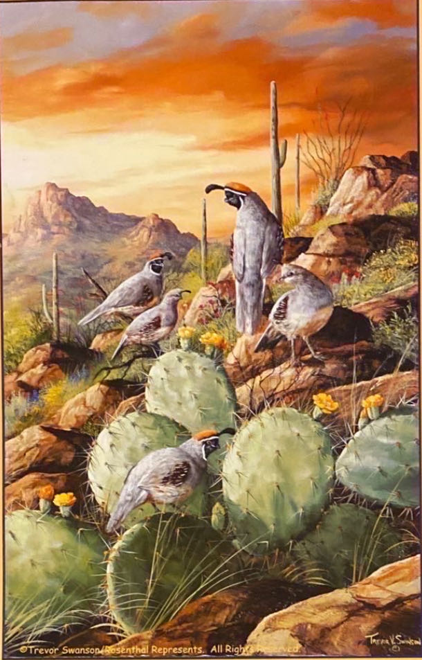 Sonoran Sunset - SunsOut puzzle collectible [Barcode 796780632165] - Main Image 2