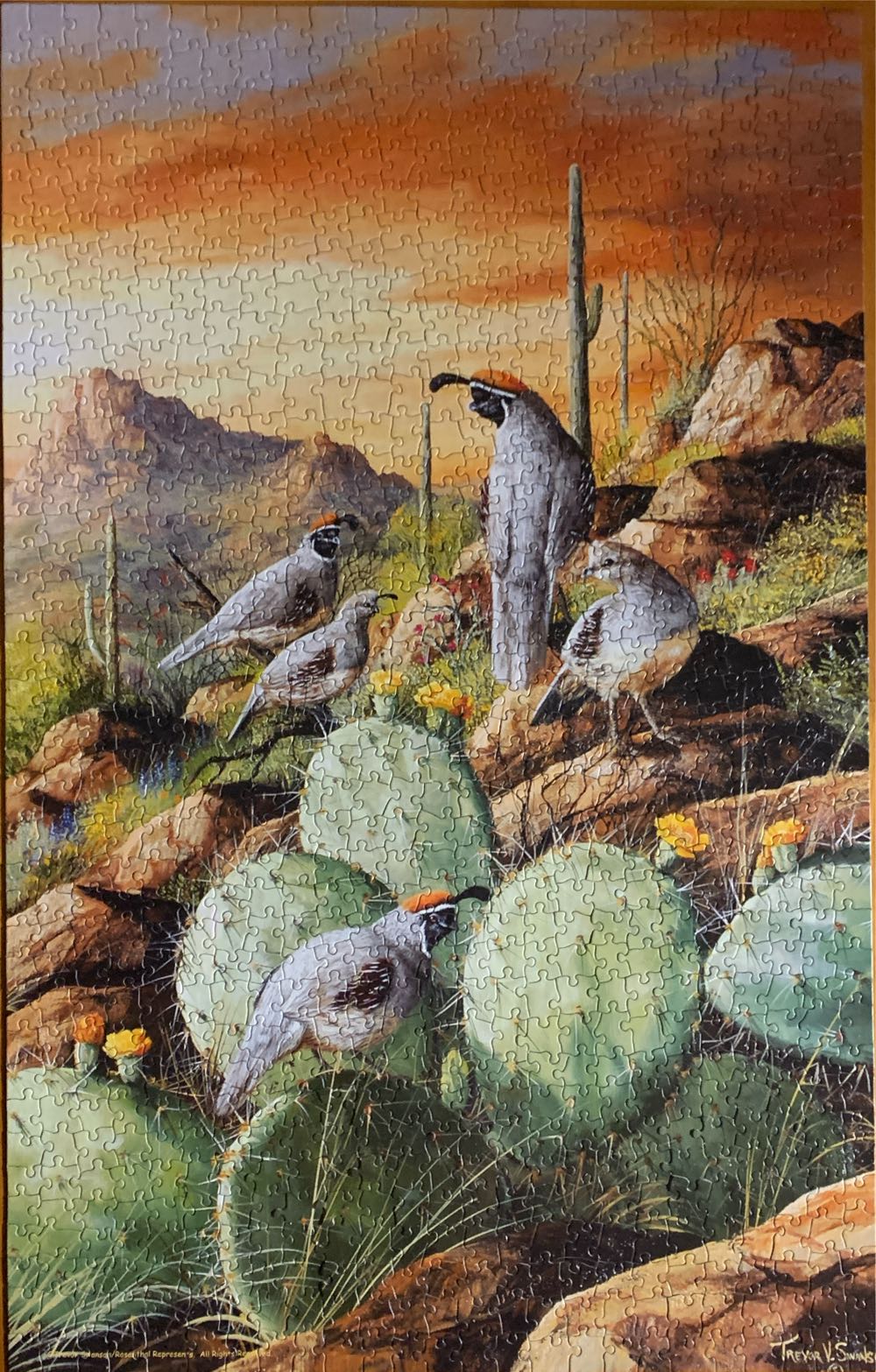 Sonoran Sunset - SunsOut puzzle collectible [Barcode 796780632165] - Main Image 3