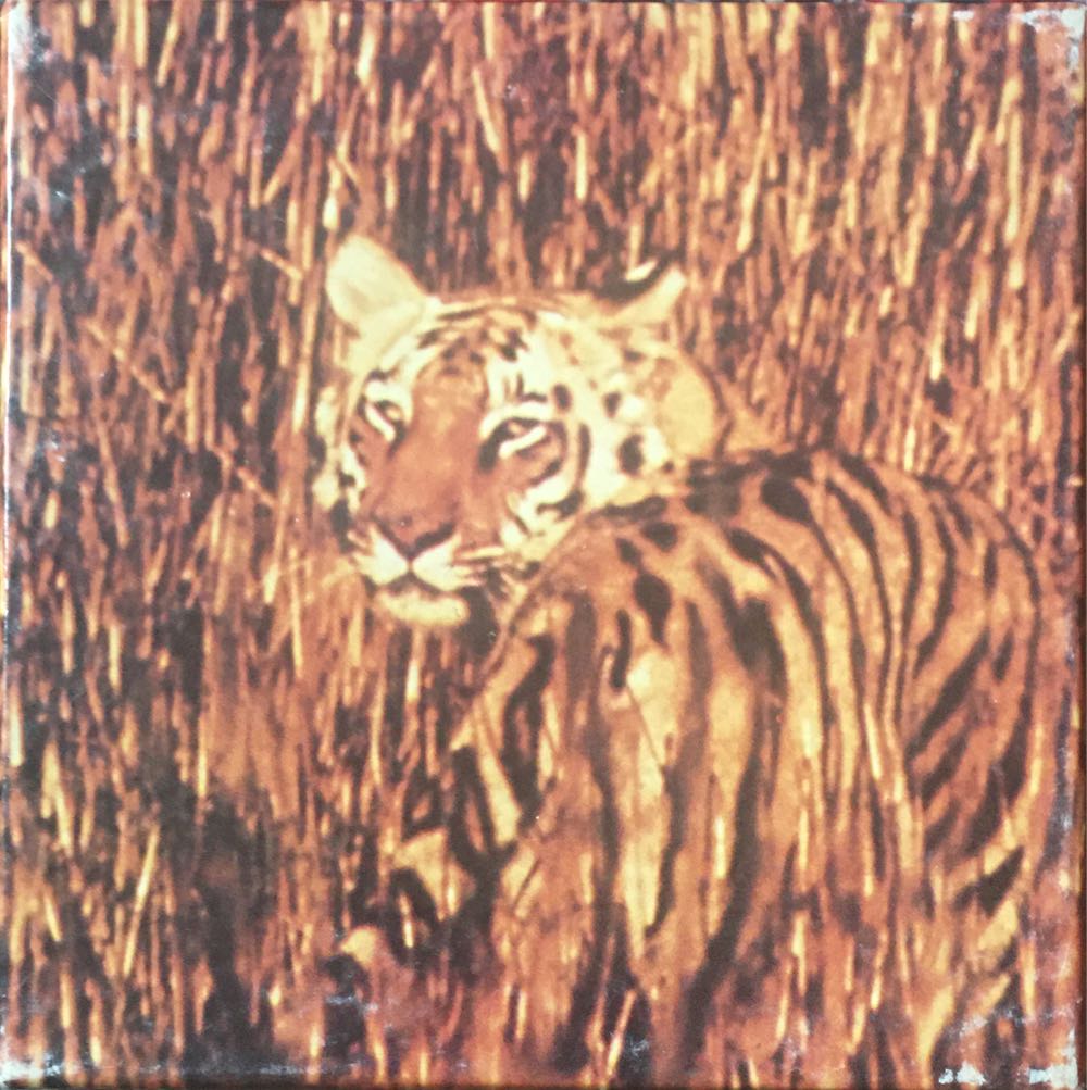 5 Deluxe Puzzles (yellow box)