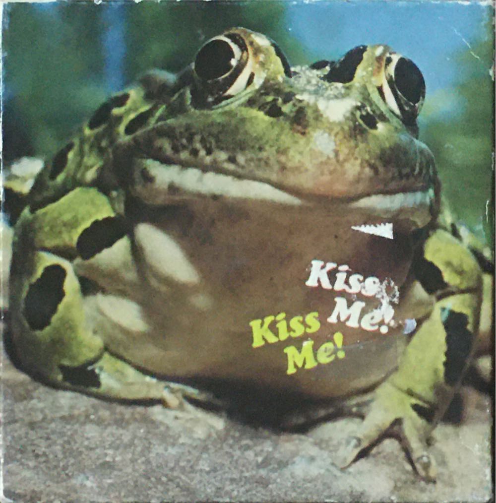 Tulips In The Castle Garden Dachau Germany