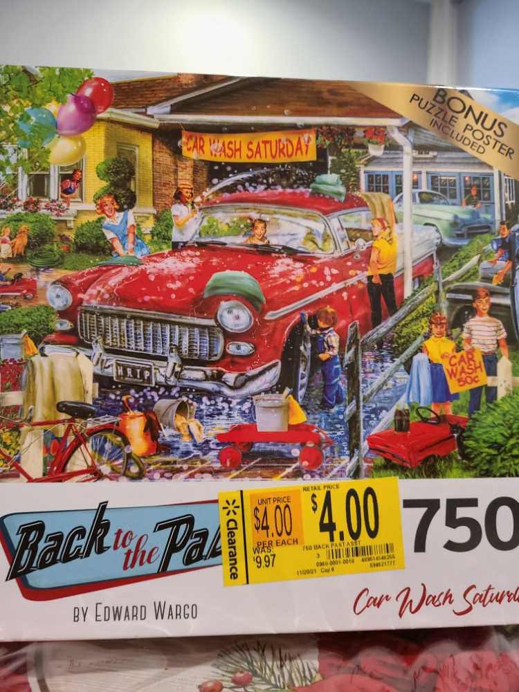 Summer Adirondack Birds