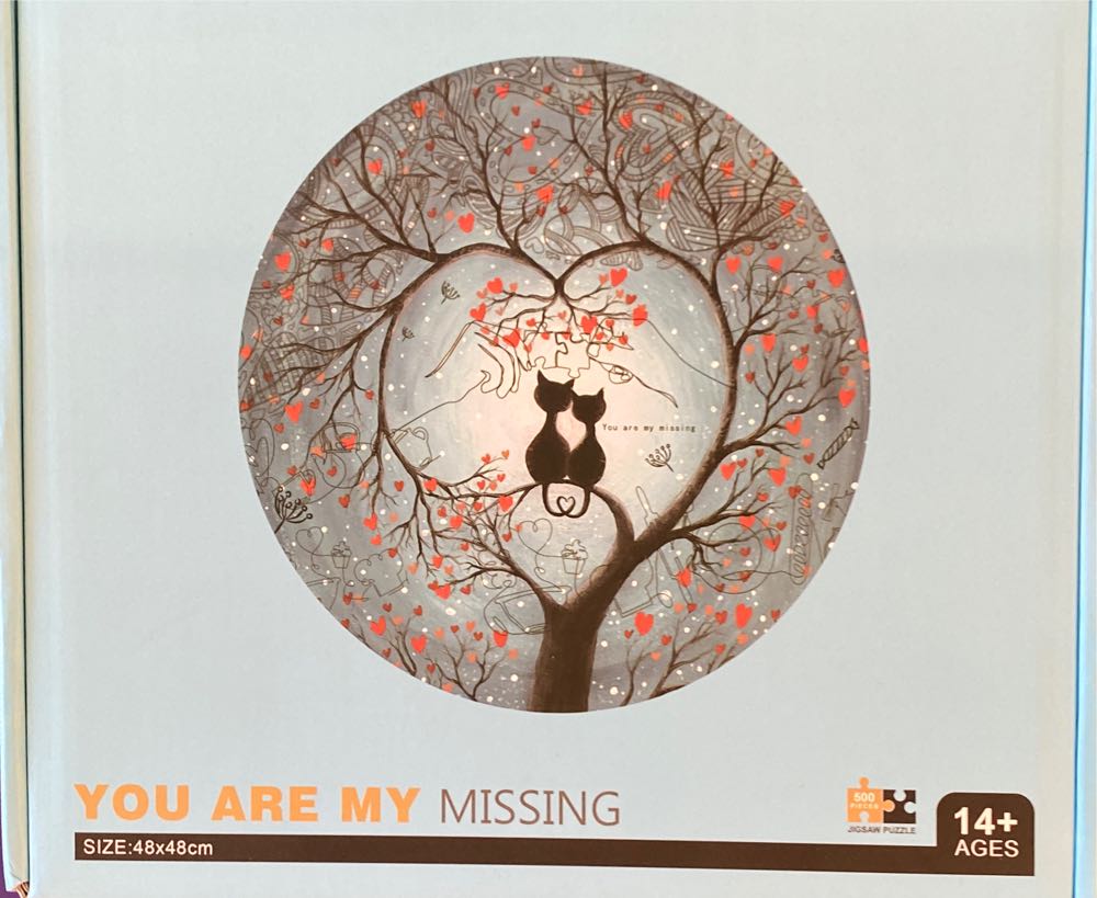 Voyage Of The Ark Annie H 