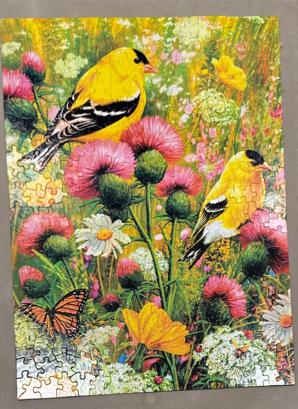 Goldfinch - Springbok puzzle collectible [Barcode 091683500123] - Main Image 3