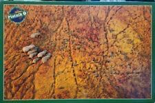 Simply The Zest Pieces Puzzledly