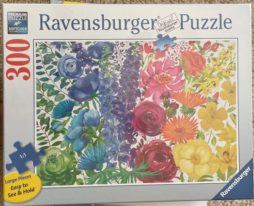 12 Puzzles Set Cardinal Rainbow Colors