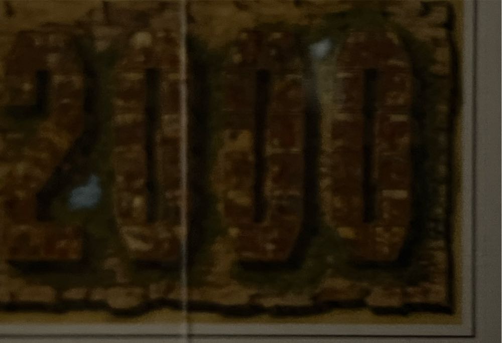 Amber Rooster And Family