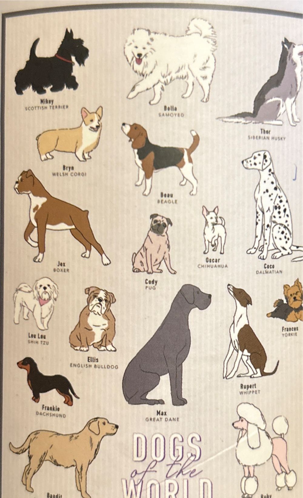 Dogs Of The World - Modern Expressions 🇺🇸 puzzle collectible [Barcode 049022202559] - Main Image 2