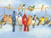 Hangin’ Out - SunsOut puzzle collectible [Barcode 796780431829] - Main Image 1