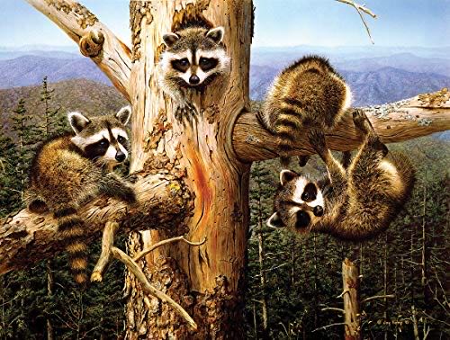 Balancing Act - SunsOut puzzle collectible [Barcode 796780176065] - Main Image 1