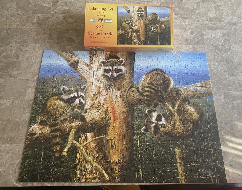 Balancing Act - SunsOut puzzle collectible [Barcode 796780176065] - Main Image 2