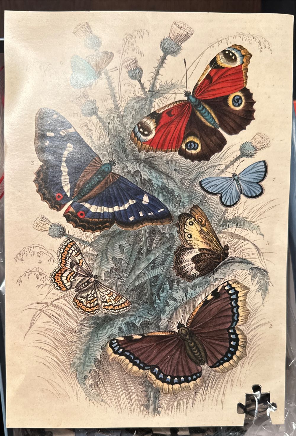 Dancing Butterflies - Artisan Puzzle puzzle collectible [Barcode 9781648290183] - Main Image 3