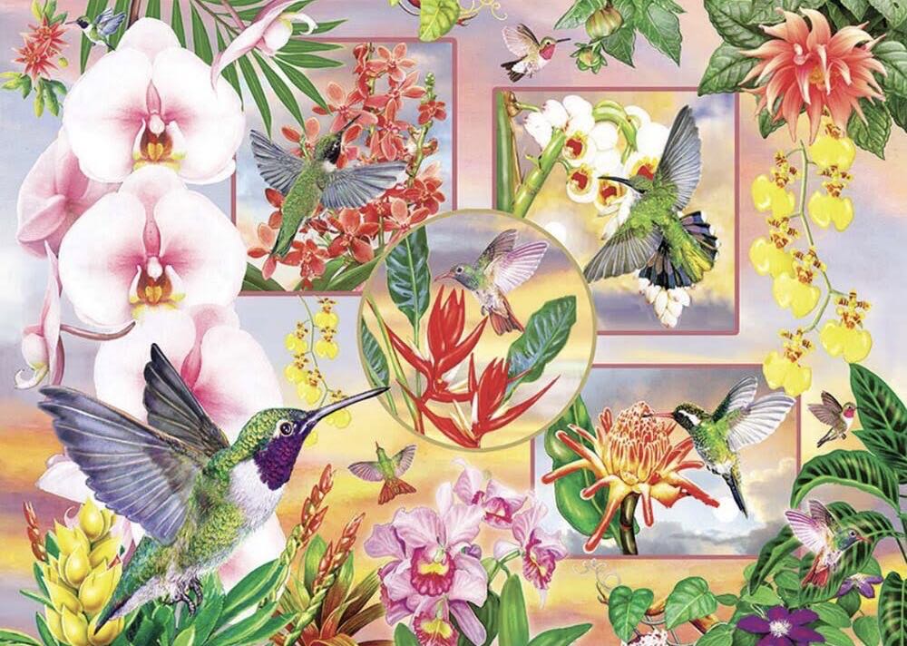 Hummingbird Magic - Cobble Hill puzzle collectible [Barcode 625012850612] - Main Image 2