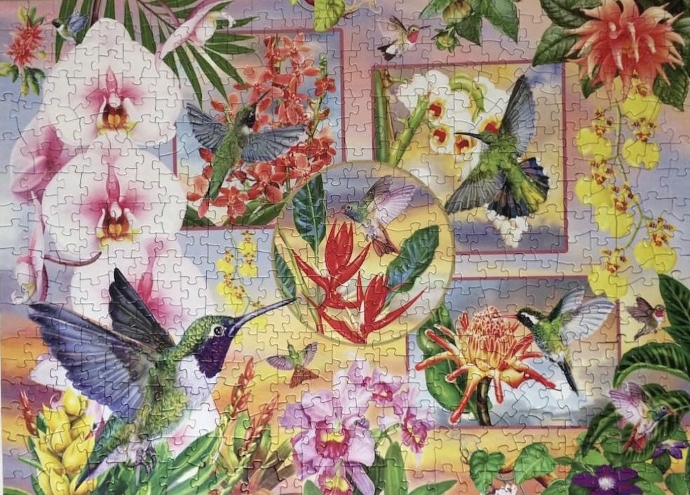 Hummingbird Magic - Cobble Hill puzzle collectible [Barcode 625012850612] - Main Image 3