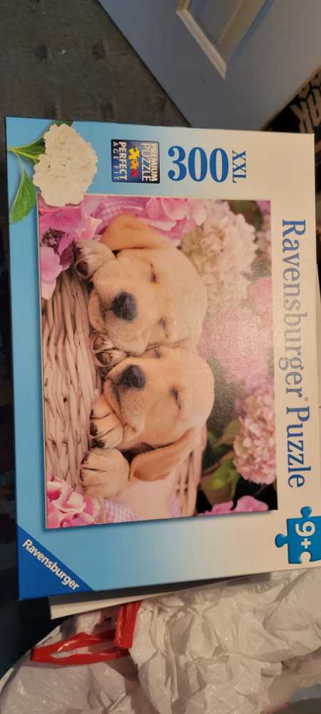 Western Bluebird - Mini