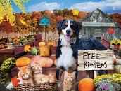 Seasons 4 Pack Of Puzzles