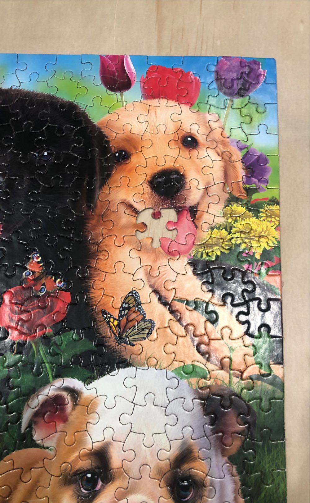 Dogs - Harmony: Garden Dogs - Ceaco puzzle collectible [Barcode 021081232340] - Main Image 4