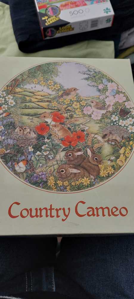 Edgar A. Poe’s Macabre Mansion