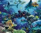 Tulips In The Castle Garden Dachau Germany